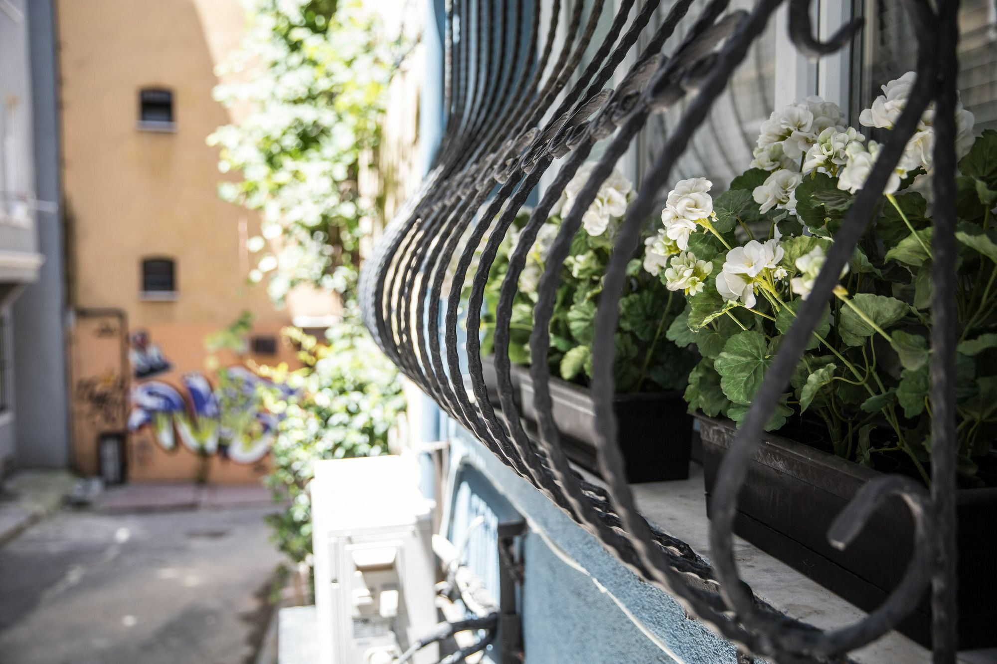 Ditto Flats Istanbul Exterior foto